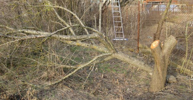 Zniszczenia po wichurze, która przeszła w powiecie pleszewskim