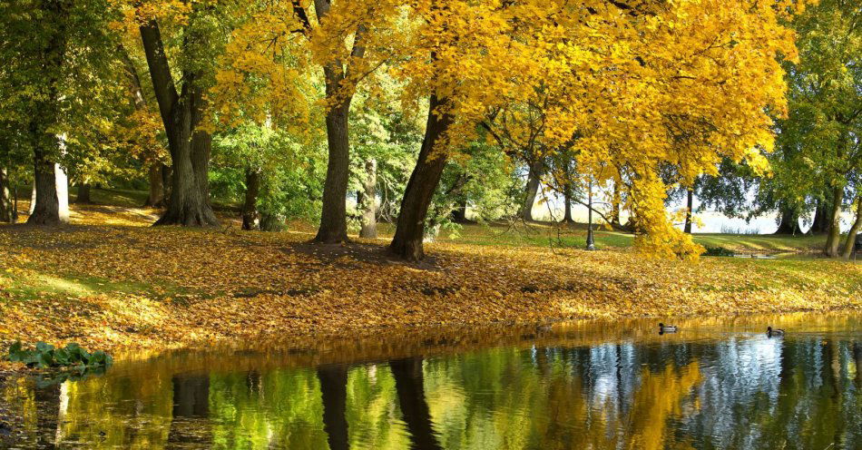 zdjęcie: Zielona Łódź zaprasza na spacer / v72528918