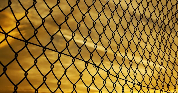 61 osób próbowało w niedzielę dostać się nielegalnie z Białorusi do Polski