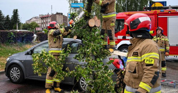 600 interwencji na Podkarpaciu po przejściu burzowego frontu, 26 tys. gospodarstw bez prądu
