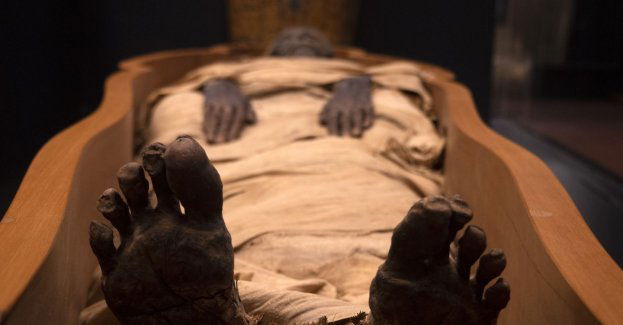 Muzeum Archidiecezjalne otwarte po kilkuletnim remoncie