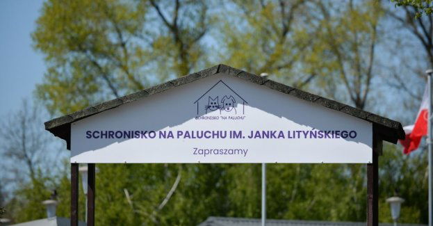 Trwa konflikt w schronisku dla bezdomnych zwierząt, wyniki kontroli wykazały wiele uchybień