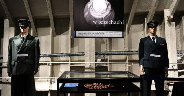 Na statku-muzeum "Sołdek" otwarto wystawę o historii przemytu