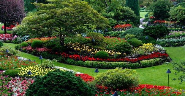 Miej wpływ na rozwój swojej dzielnicy