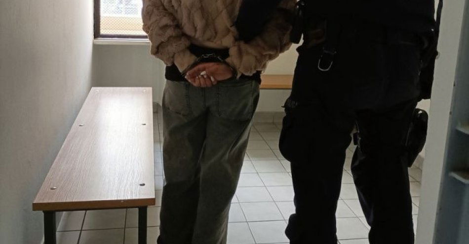 zdjęcie: Kobieta aresztowana po śmiertelnym ugodzeniu partnera / fot. KPP Pleszew