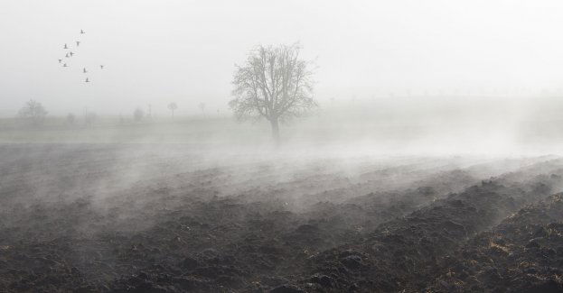 Gęste mgły w północnej części regionu