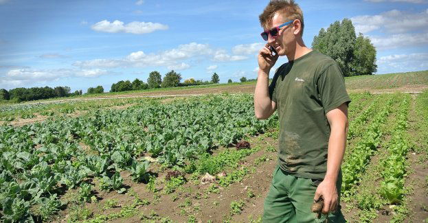 MRiRW proponuje większą elastyczność produkcji dla gospodarstw ekologicznych