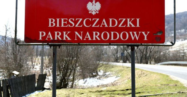 Szlaki w górach przetarte, choć miejscami śliskie i pokryte lodem