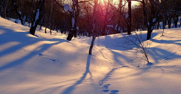 Policjanci szli za śladami na śniegu; odnaleźli mężczyznę, któremu groziło wychłodzenie