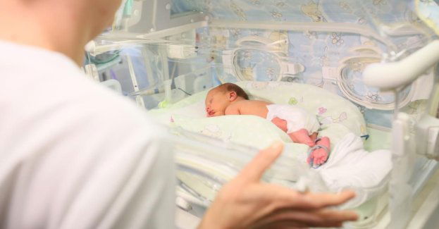 Niemowlęta uczą się rozpoznawać twarze dzięki zapachowi matki