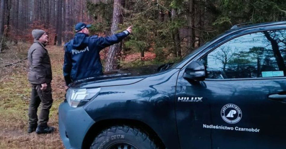 zdjęcie: Kupuj legalne choinki i chroń nasze lasy / fot. KPP w Szczecinku