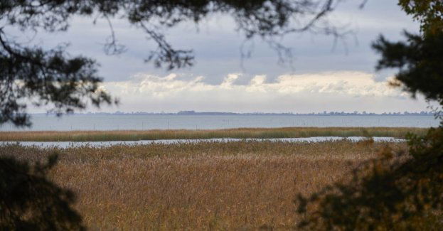 Zakończono dochodzenie epidemiologiczne w sprawie choroby Zalewu Wiślanego