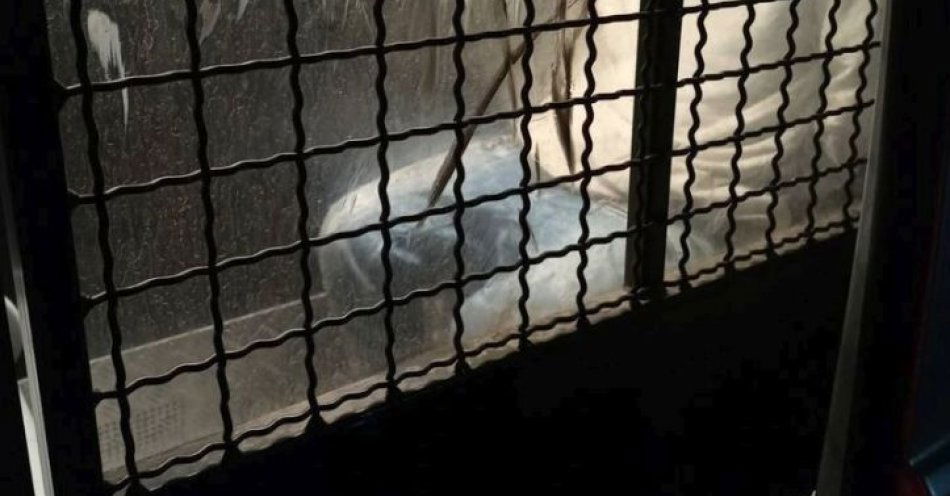 zdjęcie: Bracia zatrzymani po ataku na policjantów w restauracji / fot. KMP w Jeleniej Górze