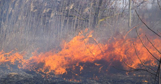 Płoną 4 hektary lasu w powiecie bocheńskim