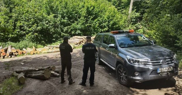 Policjant i strażnicy leśni pilnują porządku w lasach powiatu tczewskiego