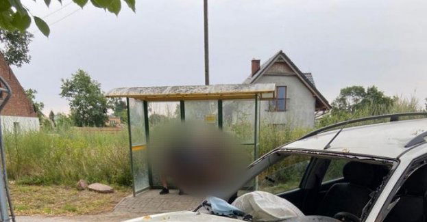 Jazda zakończona na drzewie