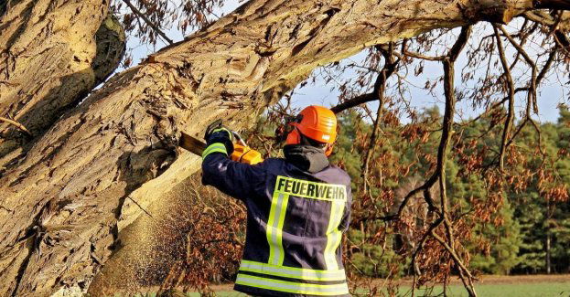 Prawie 400 interwencji straży w związku z wichurami