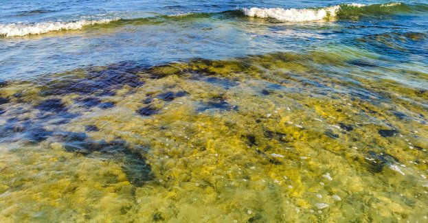 We wszystkich kąpieliskach woda jest zdatna do kąpieli