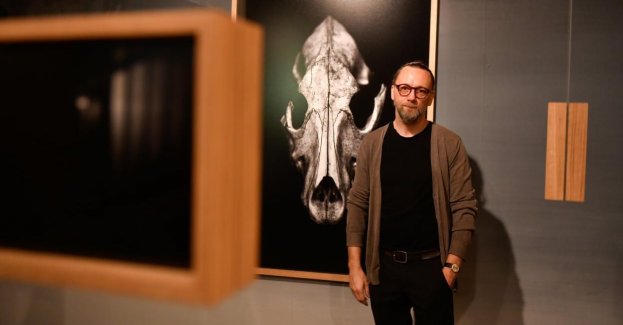 Dzika przyroda nocą na fotografiach Michała Korty w MCK