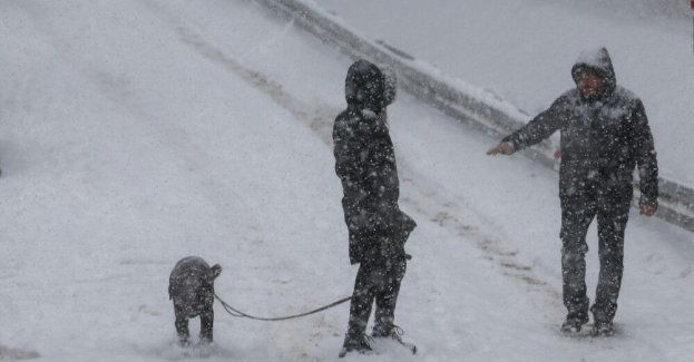 Pochmurny i śnieżny koniec roku, w nocy mróz do minus 17 st. C
