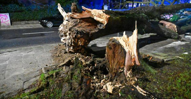 Ponad 80 strażackich interwencji związanych z silnym wiatrem