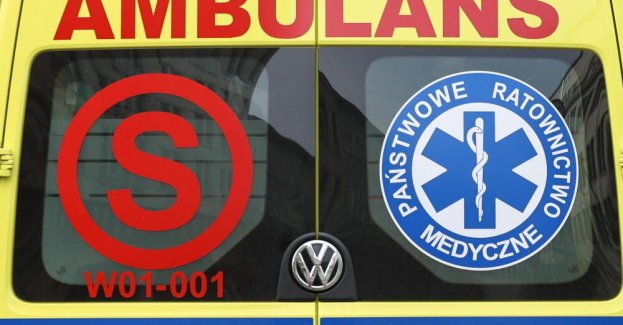 14-latek przygnieciony przez konar drzewa podczas wycinki w lesie