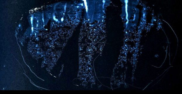 Wystawa Tu ziemia. Wystawa zbiorowa w ramach projektu Podnosząc ziemię