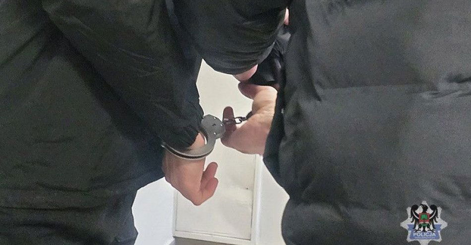 zdjęcie: Ujęty za kradzież jechał autem mimo cofniętych uprawnień / fot. KMP w Wałbrzychu