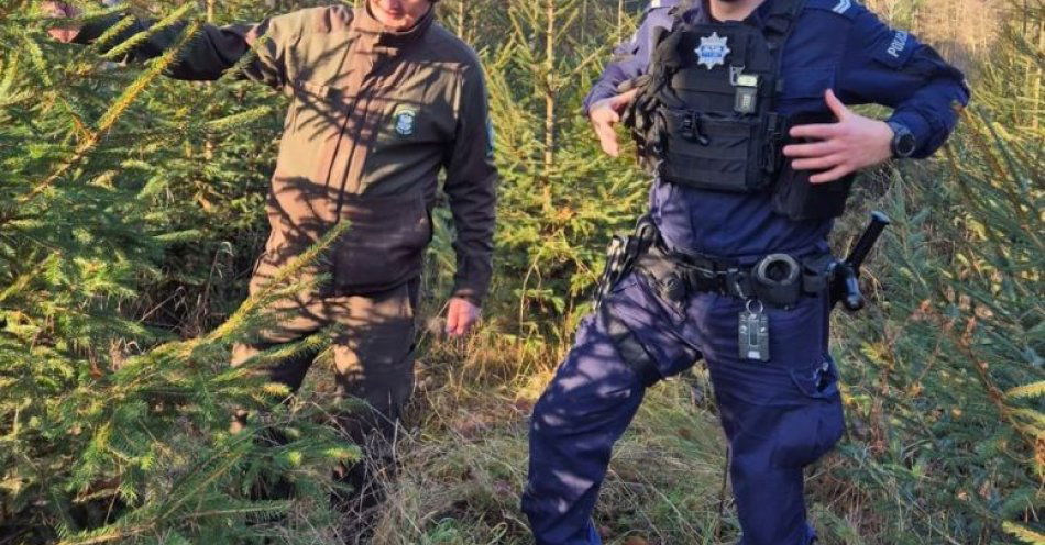 zdjęcie: Kup choinkę tylko z legalnego źródła i uniknij kłopotów / fot. KPP w Myśliborzu