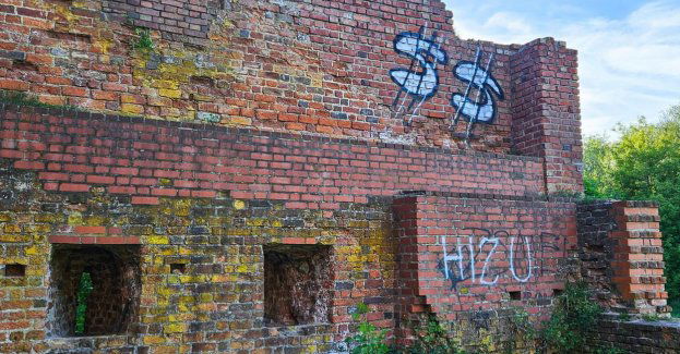 Odkryłem ogromne dewastacje ruin Zamku Dybowskiego
