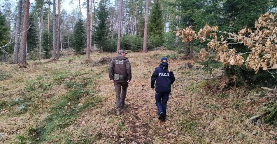 zdjęcie: CHOINKA 2025 Straż Leśna i policja przeciw nielegalnym choinkom / fot. KPP w Lesku