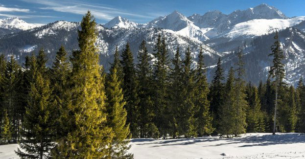 W Tatrach coraz więcej śniegu; na Kasprowym Wierchu już 30 cm
