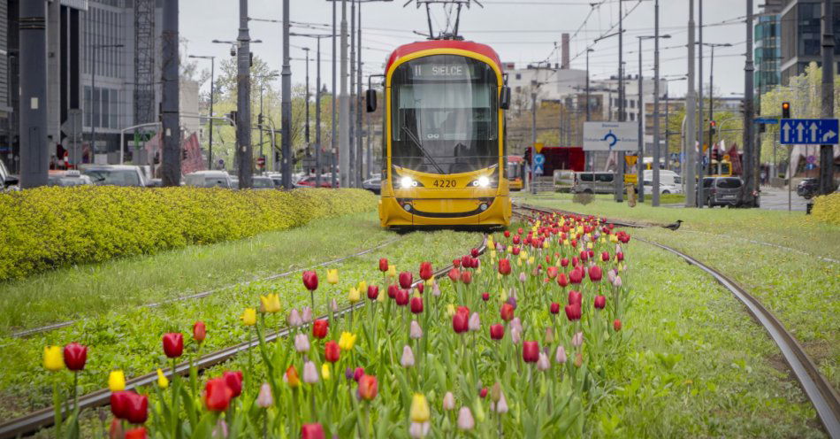 zdjęcie: 62 nowe tramwaje dla Warszawy / fot. nadesłane