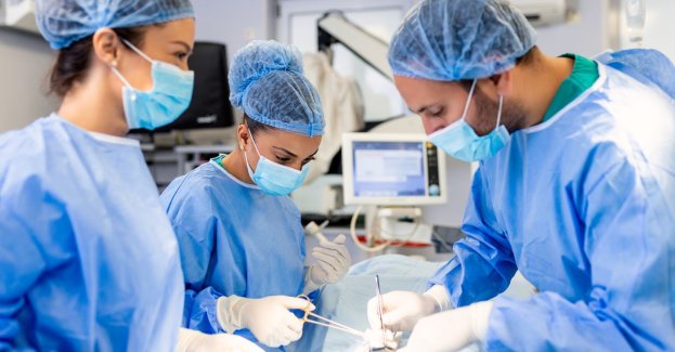 Rośnie liczba przeszczepów nerek od dawców żywych