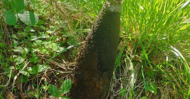 Pozostałości z II Wojny Światowej powodem policyjnych interwencji