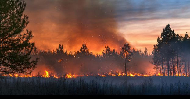 Nie zmienia się powierzchnia pożaru w Biebrzańskim Parku Narodowym