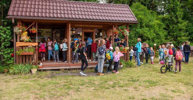 Kuratorzy zatwierdzili dotąd 16,5 tys. wyjazdów i półkolonii