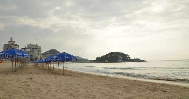 W Płocku rusza strzeżone kąpielisko miejskie nad zalewem Sobótka