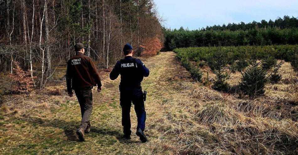 zdjęcie: Patrole policji i straży leśnej poprawiają bezpieczeństwo w lasach / fot. KPP w Raciborzu