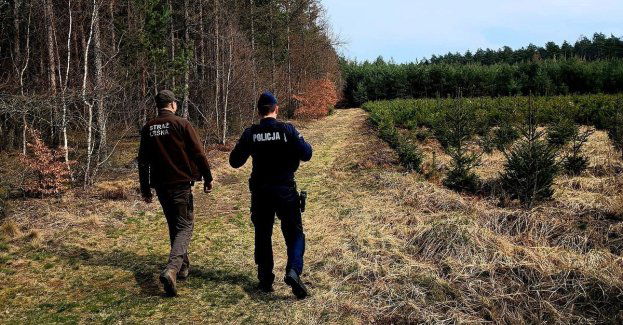 Patrole policji i straży leśnej poprawiają bezpieczeństwo w lasach