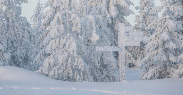 Śnieżna niedziela z ujemną temperaturą w całej Polsce