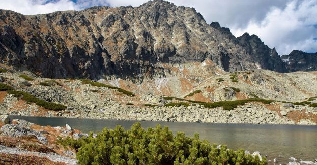 Polski turysta zginął na Gerlachu, resztę grupy ewakuował śmigłowiec
