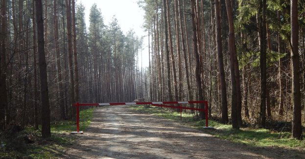 W niedzielę z Ukrainy do Polski odprawiono ponad 33,6 tys. osób, do Ukrainy wyjechało prawie 42,9 tys. osób