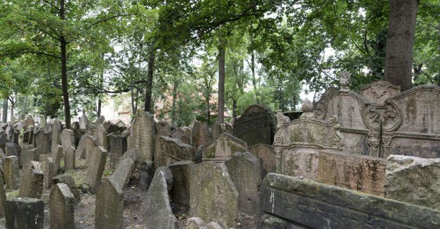 Bierna postawa służb komunistycznych przyczyniła się do pogrom ludności żydowskiej