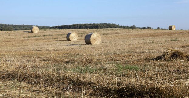 Prokuratura wyjaśnia okoliczności śmierci rolnika; majątek warty 8 mln chce przejąć gangster