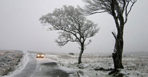 Ostrzeżenia pierwszego stopnia przed silnym wiatrem