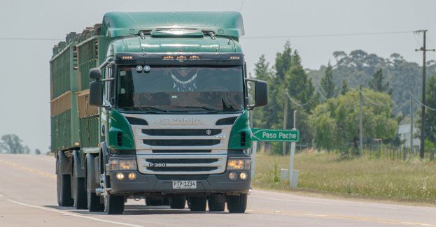 Służby skarbowe w kontrolowanej ciężarówce znalazły dwa kradzione auta osobowe