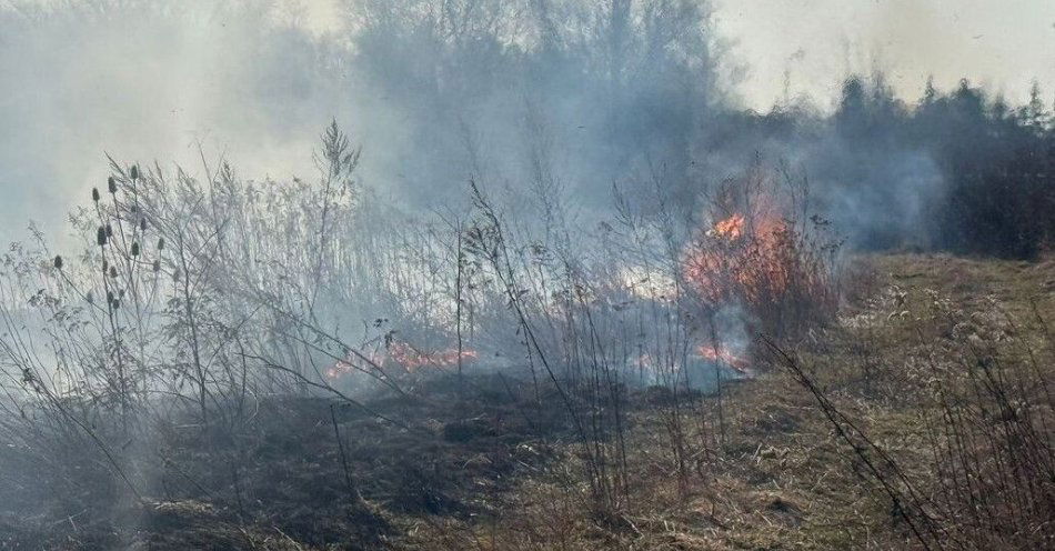 zdjęcie: Wypalanie traw zagraża życiu i grozi wysokimi karami / fot. KPP Mogilno