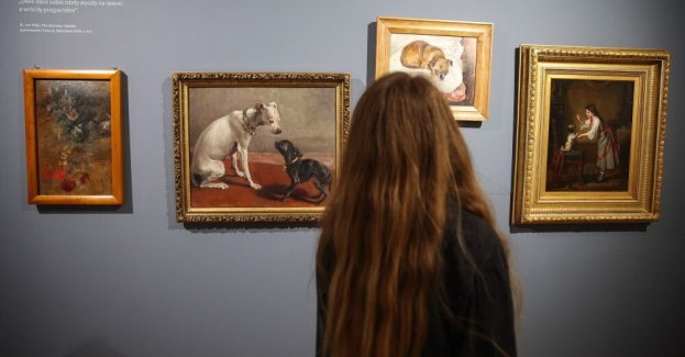Opowieść o relacjach ludzi i zwierząt w mieście przedstawiono na wystawie Muzeum Krakowa
