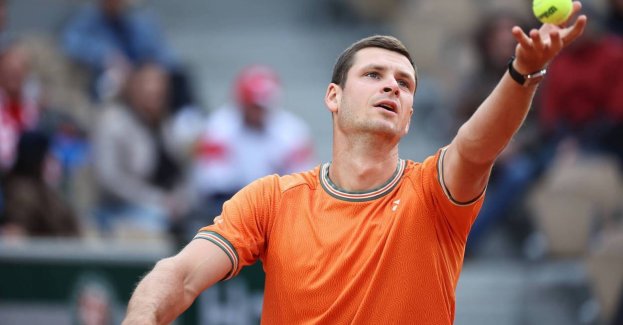 Turniej ATP w Halle - Hurkacz w ćwierćfinale